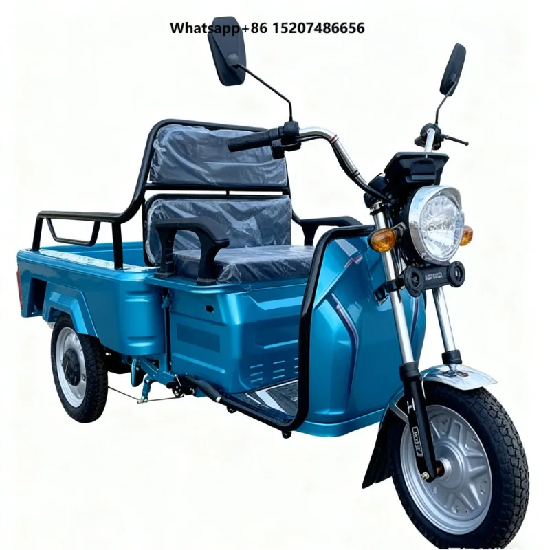 Electric Cargo Tricycle for Adults 3 Wheel Motorcycle Tricycles Bike 650W Vehicles for Family Use