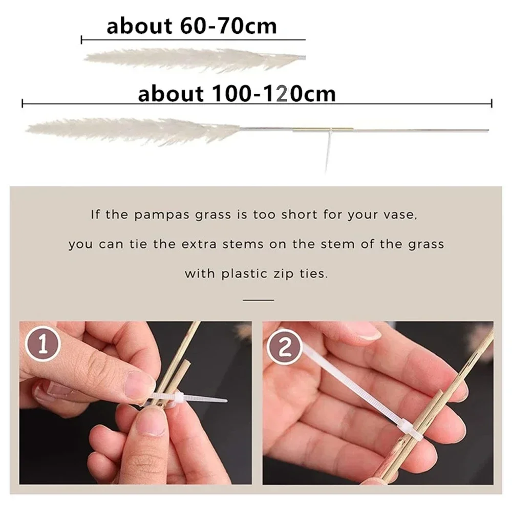 Thumbnail 4 - #29 Best Decorative Flower Vases to Buy In 2026