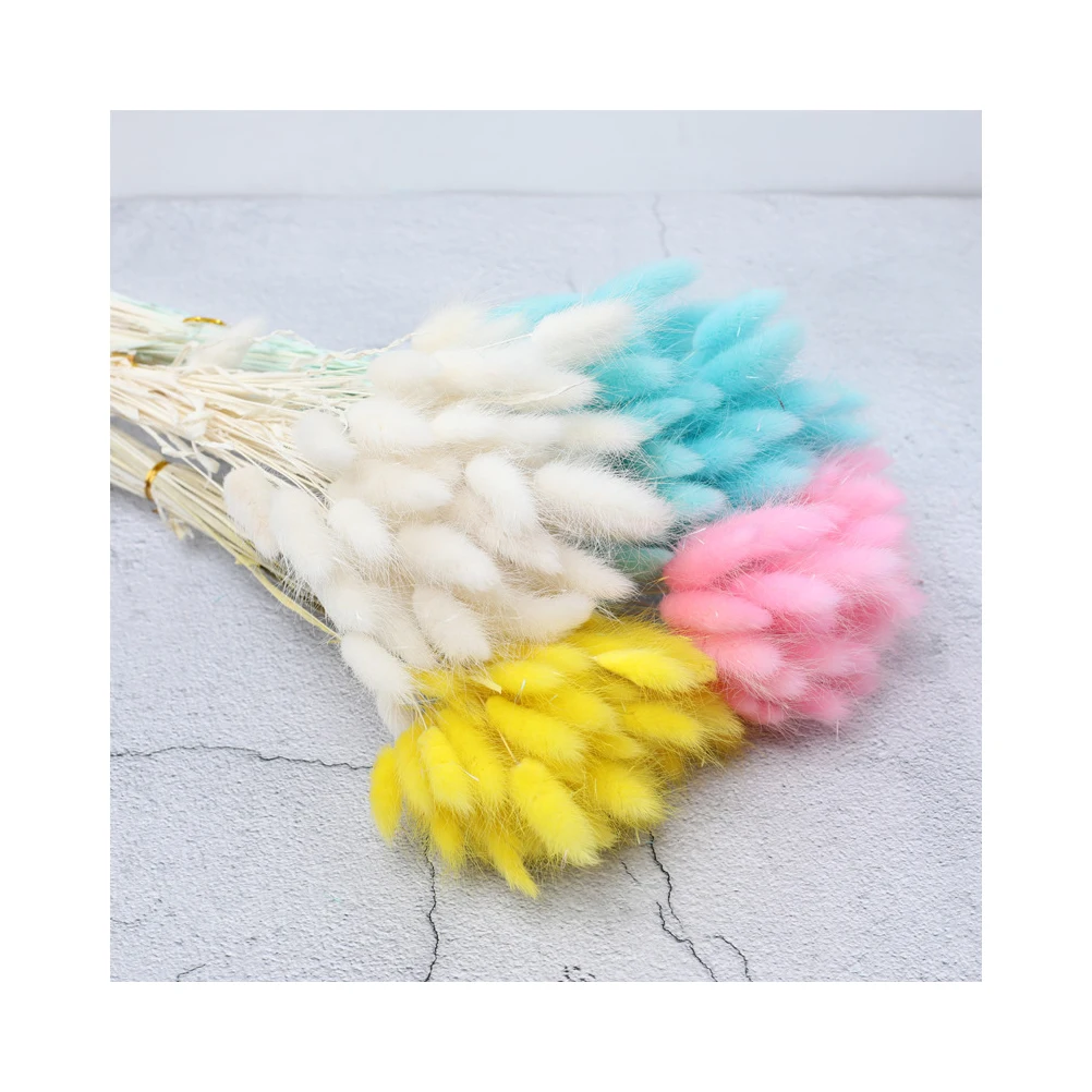 60Pcs Dried Bunny Tails Grass Natural Rabbit Tail Pampas for Creative Home Decor DIY Centerpiece Decoration Supplies