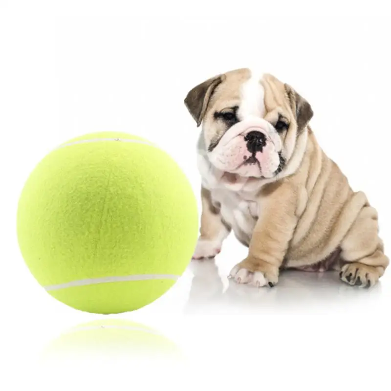 Pet Toy Long-lasting Non-toxic Playtime Top Rated Physical Exercise Toy Tennis Ball Toy Durable Healthy Pet Entertainment Fun