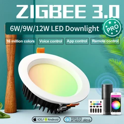 GLEDOPTO-Luz LED inteligente para techo, foco empotrado de 12W, ZigBee3.0, RGBCCT, aplicación de voz, Alexa, Echo, ZigBee2mqtt, Conbee