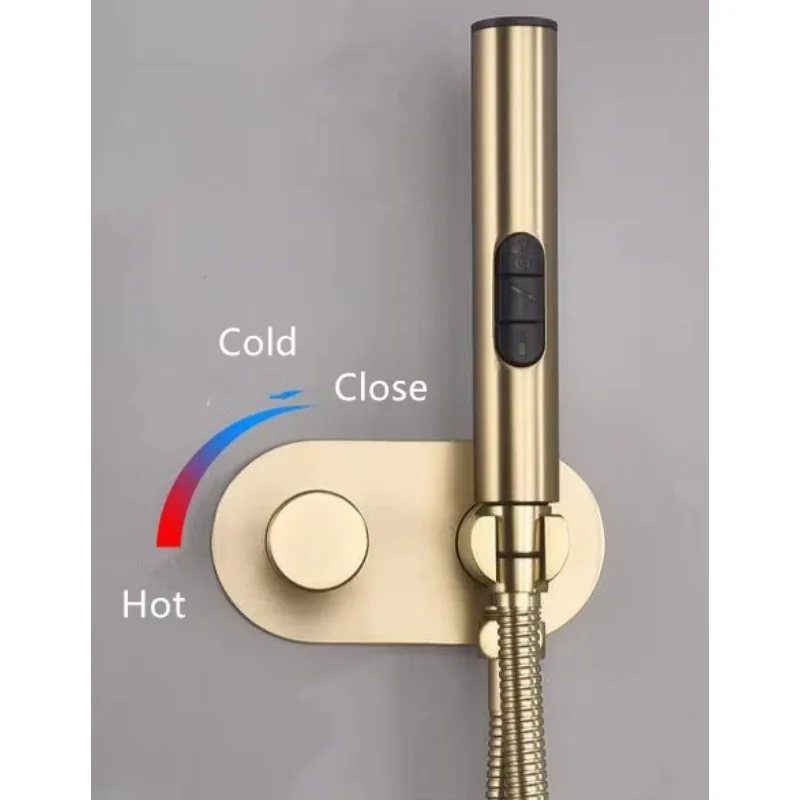 

Настенный латунный переключающий смеситель для ручного душа, матовый золотой унитаз, скрытый смеситель для биде, горячая и холодная вода с кронштейном, шлангом