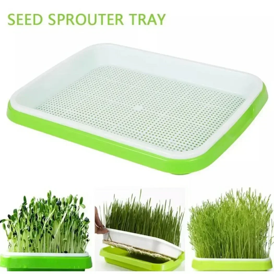 Microgreen-Sprouting Tray Sprout Dish Growing Pot Hydr Oponic Sprouting Cat Grass Germination Nursery Pot 33cmx26cmx5cm Garden