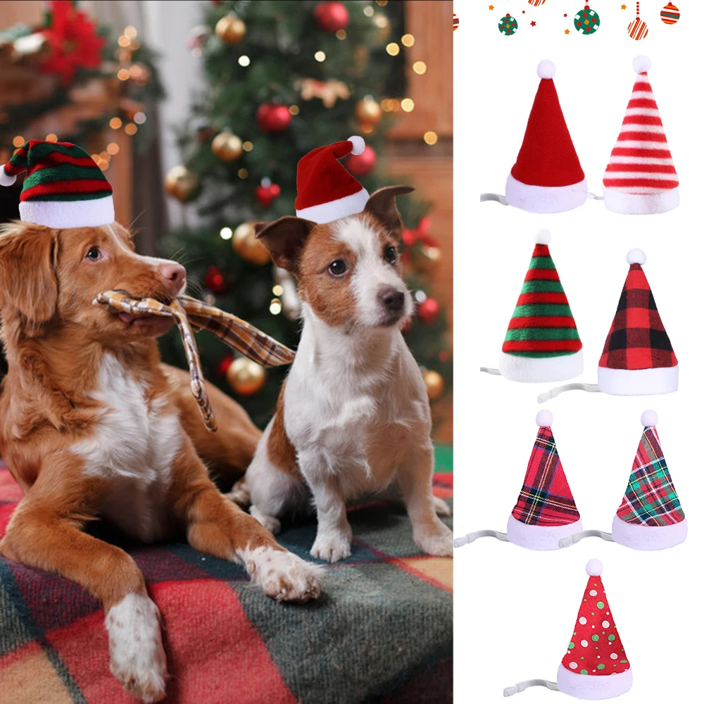 Mini Christmas Hat for Pet, Santa Claus Hat, Dog, Cat Xmas Lollipop Hat, Wedding Gift, Christmas Tree Ornament Decor, 30Pcs