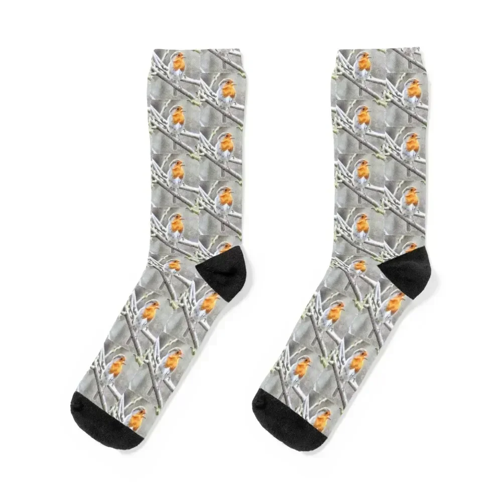 

Angelic Robin Watercolor Socks christmas gifts cute new in's Children's Mens Socks Women's Run luxe hip hop Women's Socks Men's