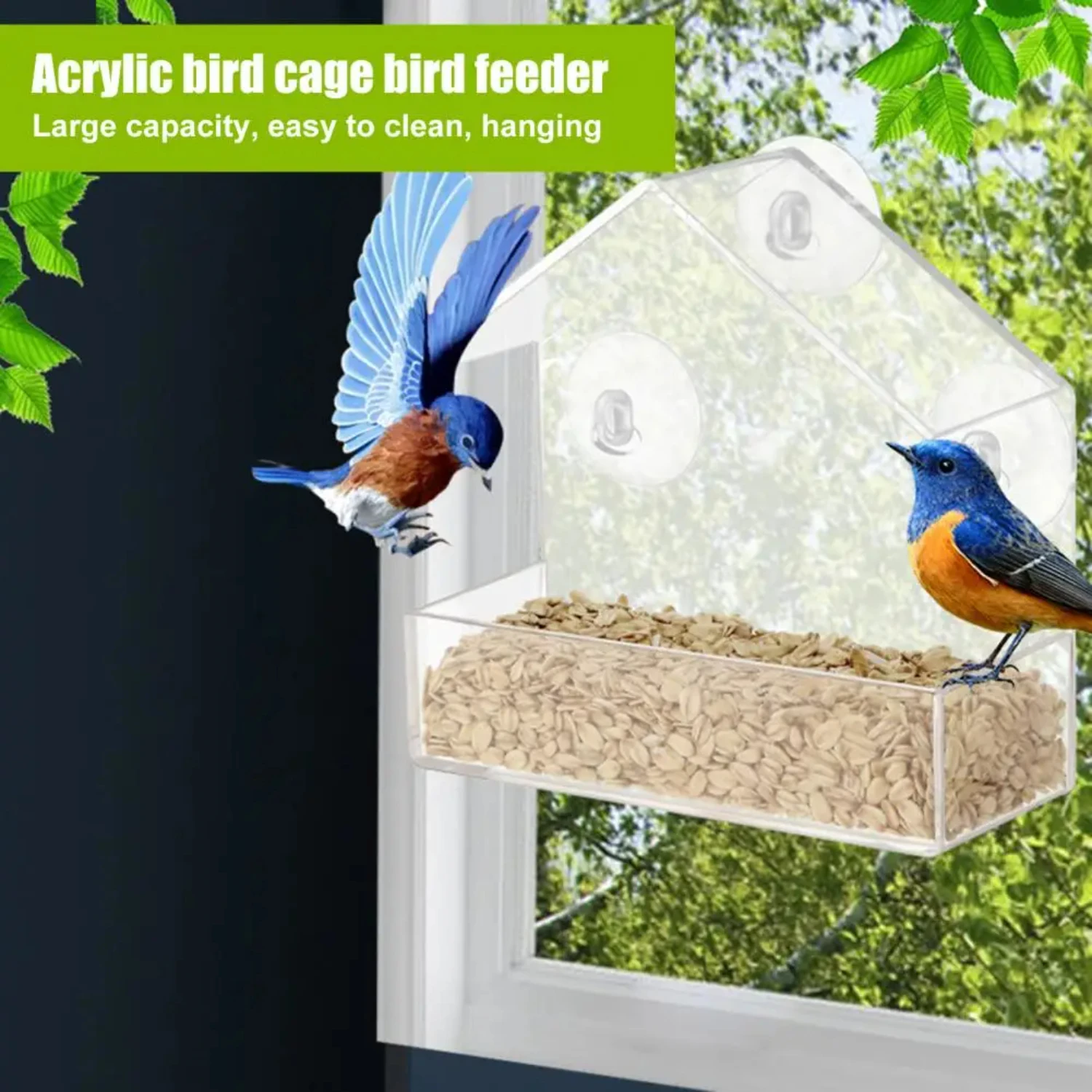 An Organic Glass Alec Bird Feeder, Outdoor Adsorption Feeding, Anti Splash Food Box And Trough Bowl