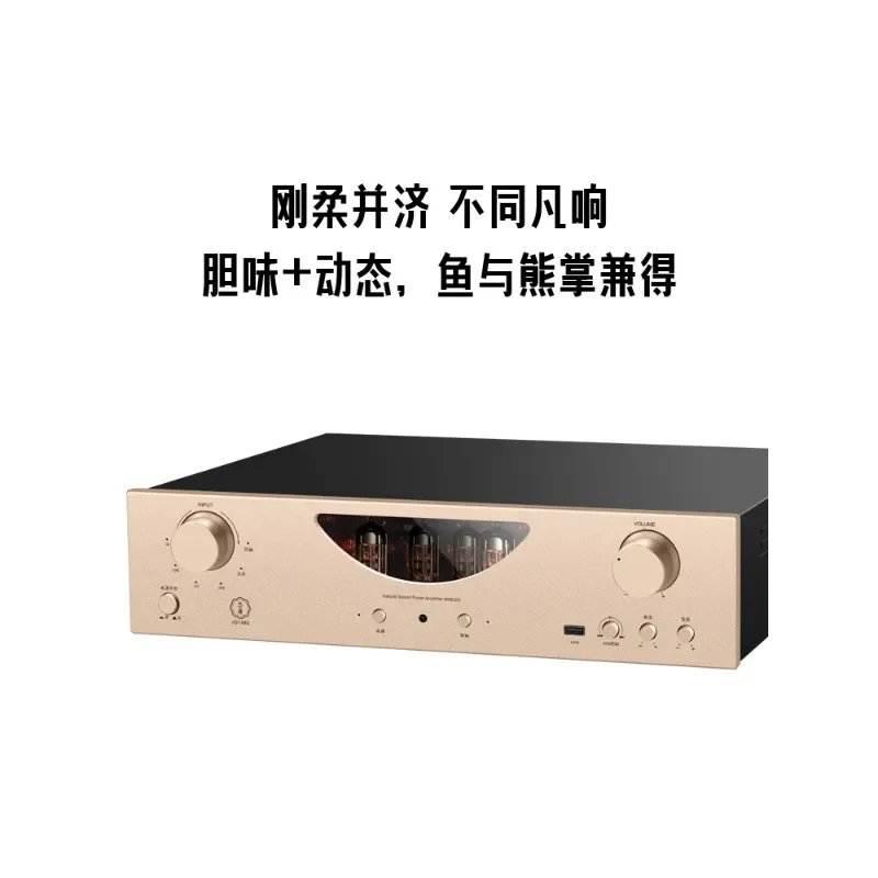 MK8300 bile machine tube power amplifier HIFI fever grade front and rear bile