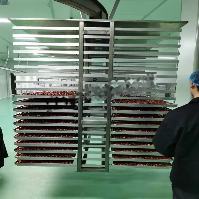 Seaweed Vegetable Tomato Egg Drop Soup Drying Equipment Instant Food Freeze Dryer Fully Automatic Freeze-drying Machine