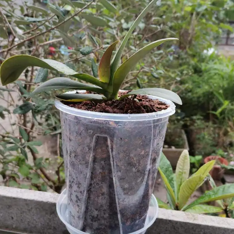 

5PCS Flower Pot Root Control Pot Transparent Breathable Container with Drainage Hole for Phalaenopsis Orchid Cattleya Planting