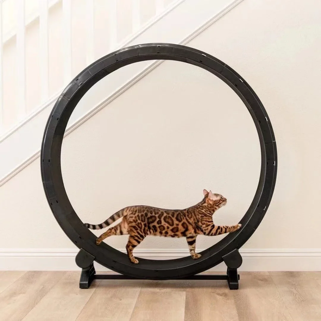 Cat Training Silent Treadmill, Smooth Silky Cat Climbing Frame, Indoor Pet Cat Exercise Running Machine
