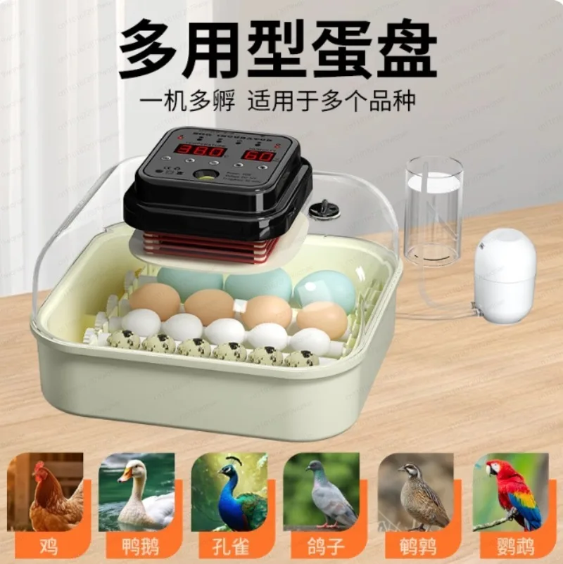 6 small household fully automatic intelligent incubators, universal for chickens, ducks, geese, pigeon eggs