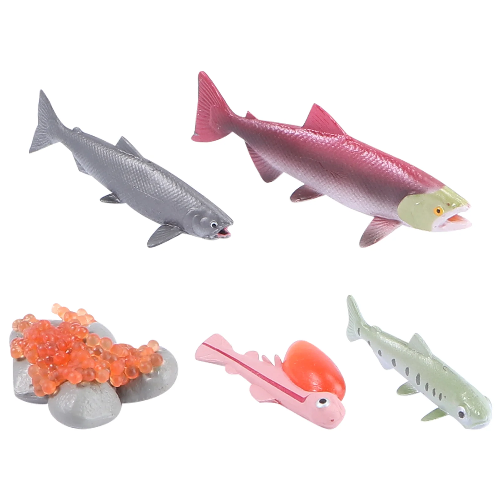 4 Pcs Kids Educational Toys Growth Cycle Model Children's Vivid Salmon Figure Animal Life Observing Fish