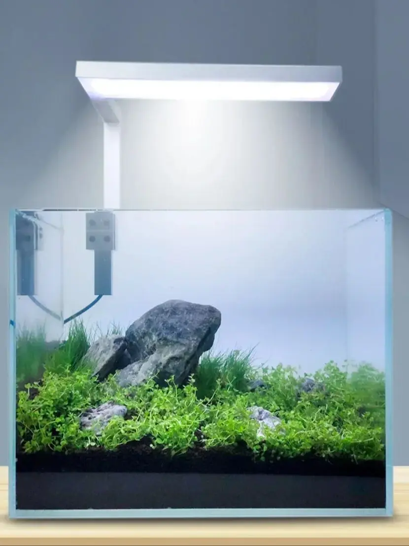 Fork fish tank LED lamp full spectrum water grass lamp energy saving highlight clip lamp color increasing plant lamp（7）