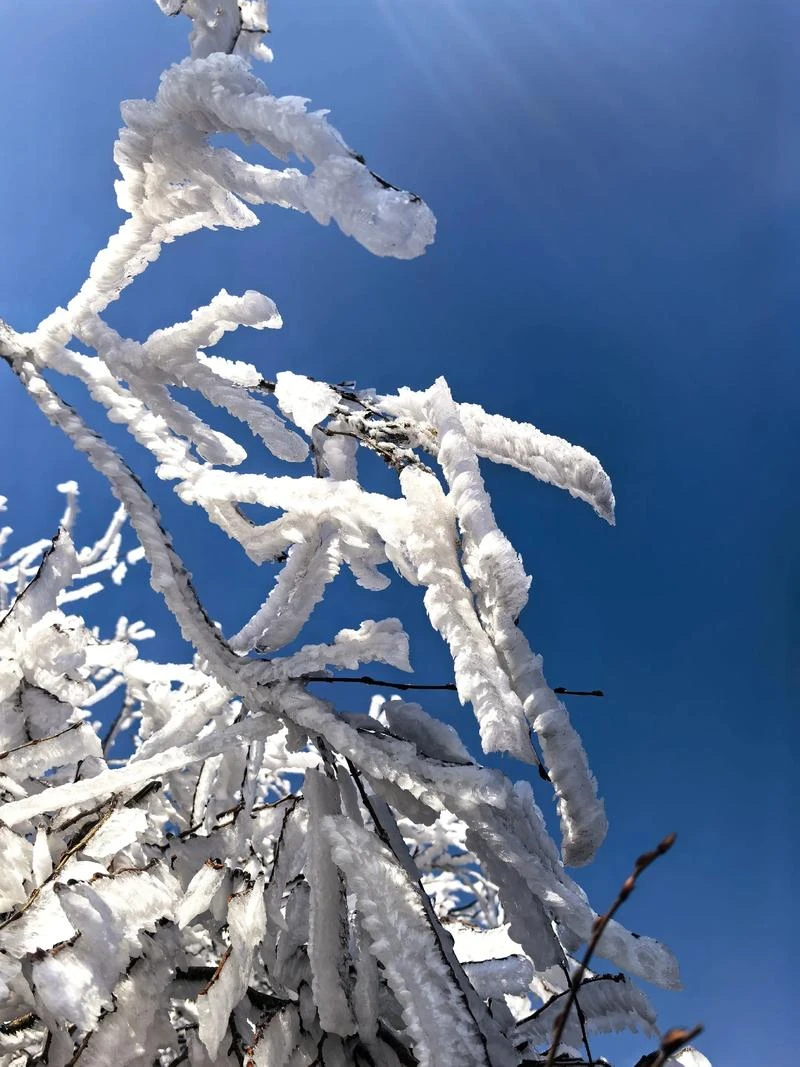 

Защитная пленка из ТПУ для фар Chery Omoda C9 Jaecoo 2024-2025, прозрачная, антицарапийная наклейка