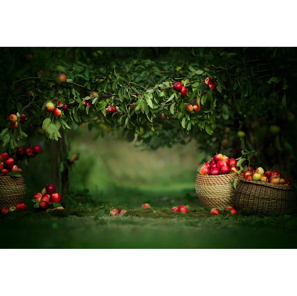 Laeacco Wonderland Fall Festival Farm Red Apple Trees Background Kids Birthday Newborn Artistic Portrait Photography Backdrop