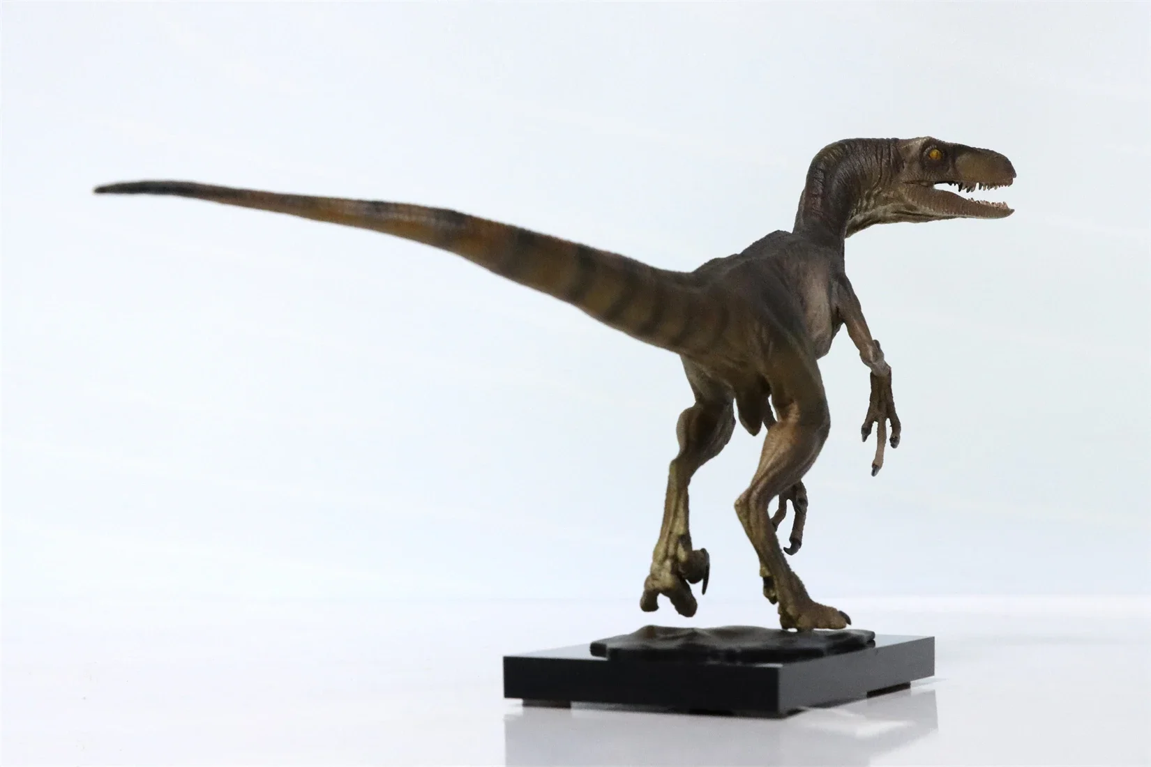DINO DREAM Tyrannosaurus & Velociraptor Set Statue Colorful