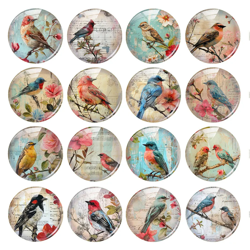 Random Mixed Round/Oval/Square Vintage Bird Flower Branch Photo Glass Cabochon Flatback Demo Cameo For Diy Jewelry Making view 2