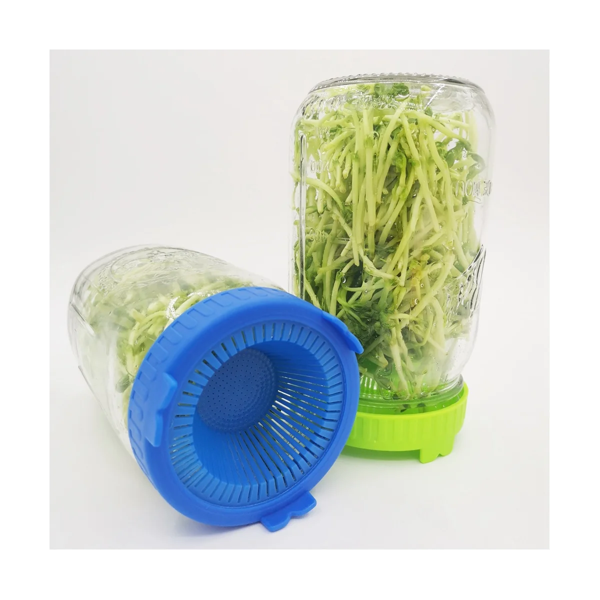 6PCS Sprouting Kit Sprout Jars Lids Mesh Lids for Wide Mouth Jars Indoor Microgreens Plants Growing Screen,A