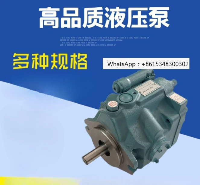 V15A3RX-95 Plunger …