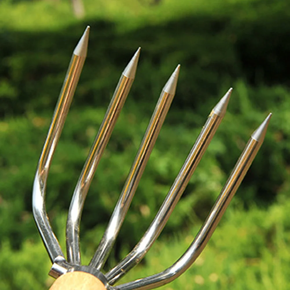 

Stainless Steel Beach Shell Digging Tool Ergonomic Wood Handle Rake for Clams Oysters Fast Efficient Claw Style Hand Rake