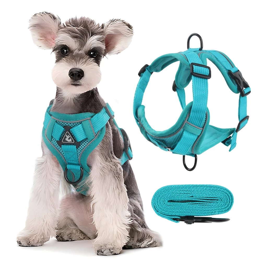 Katzen- und Hundegeschirr-Set mit Brustseil, Reflektierend, Atmungsaktiv, Verstellbar, für Kleine und Mittelgroße Hunde, Outdoor-Spaziergänge