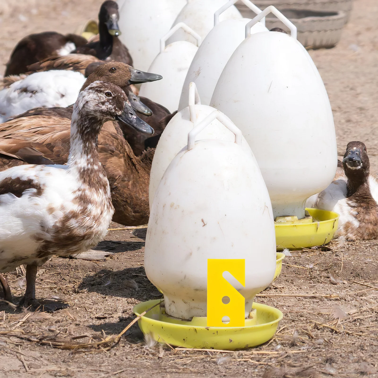 

50Pcs Automatic Chicken Waterer Height Adjustment Clips Durable Poultry Feeder Water Line System DIY Chicken Equipment