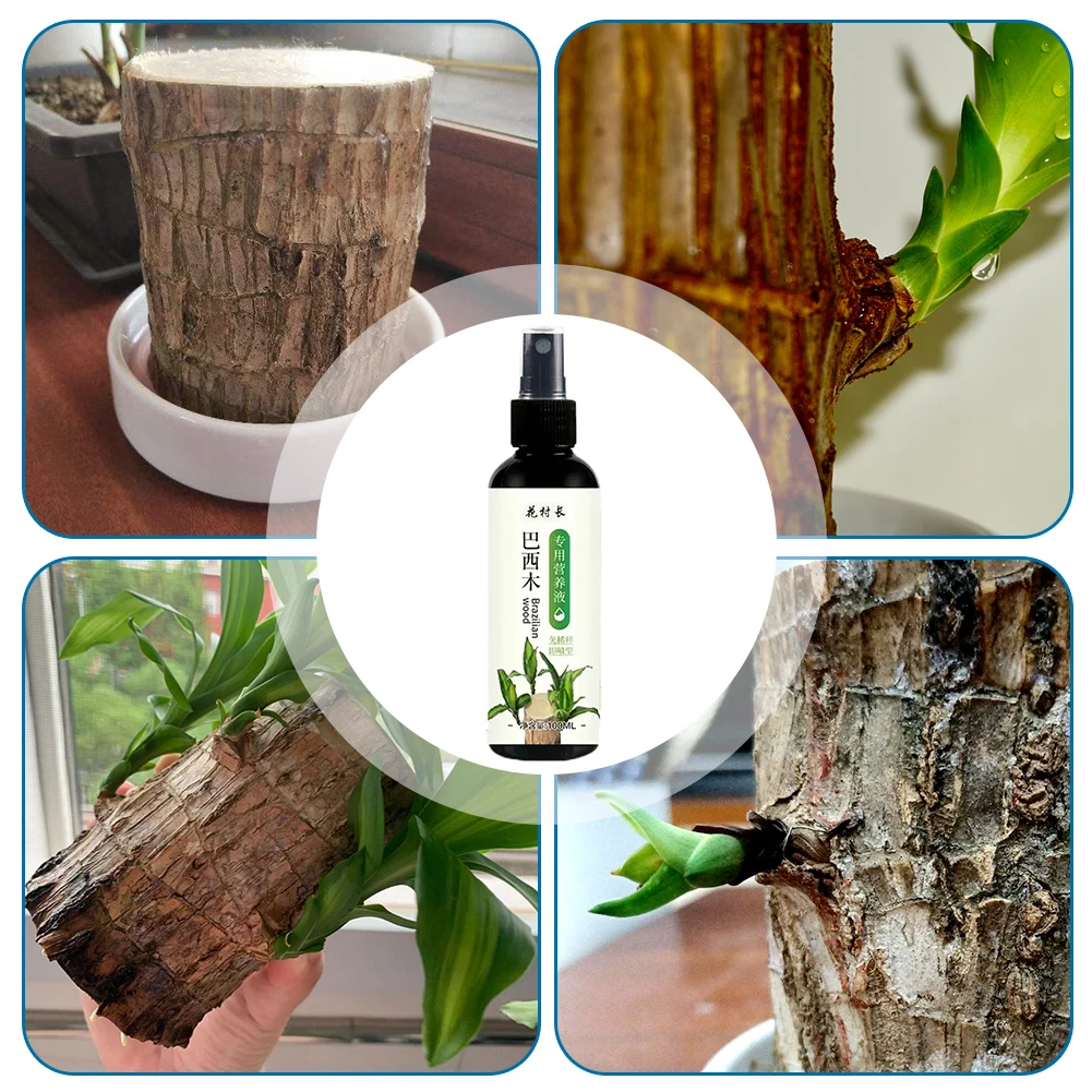 100ml Plants Liquid Fertilizer Effective Promotes Brazil Wood Health Growth Nutrientsfor for Plant Flower Nutrient Solution