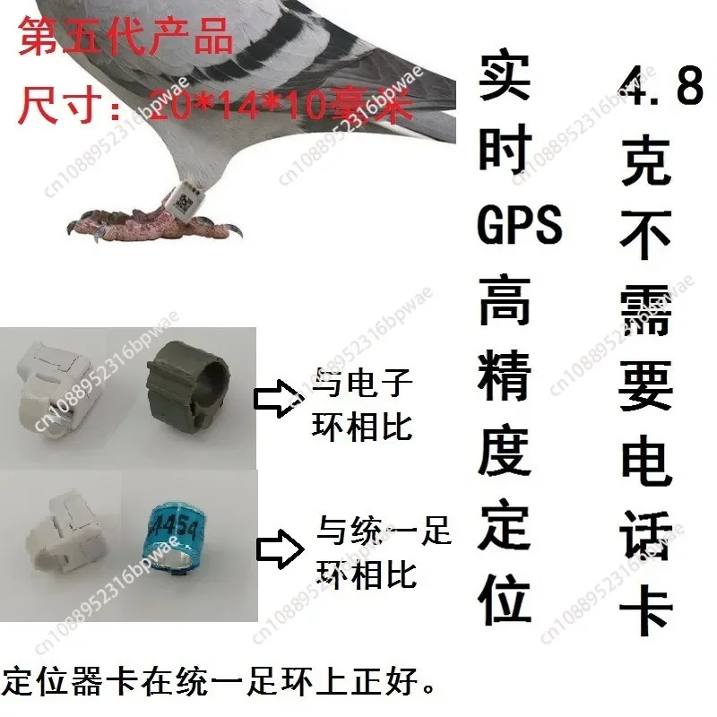 Parrot Bird GPS Tracking Ring  White Racing Pigeon Inner  Yorkshire Canary Position Tracker Devide