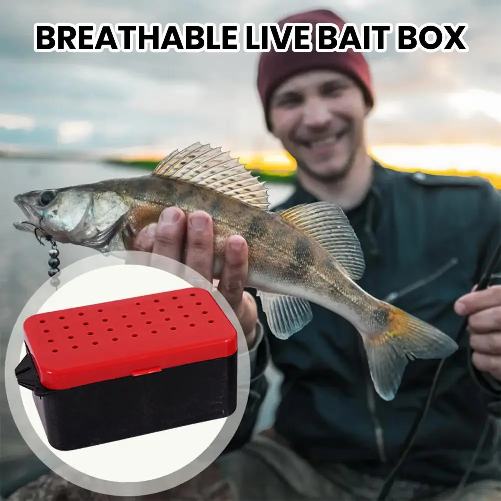 Fish Bait Box Breathable Live Bait Box Double-layer Portable Live Bait Box with Handle for Fishing Lure Tackle for Maggot