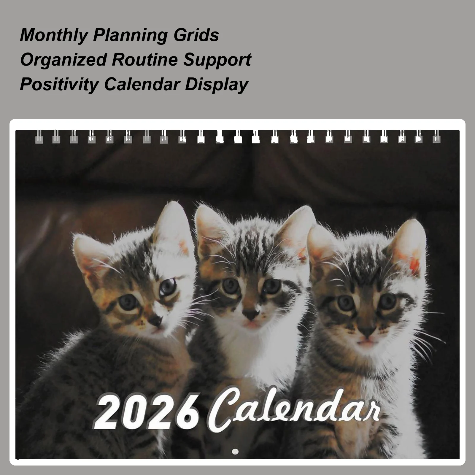 

Cat Wall Calendar Funny Cat Wall Calendar 2026 12 Month Planner Thick Paper School Supplies For Organizing Planning Desk Bedroom