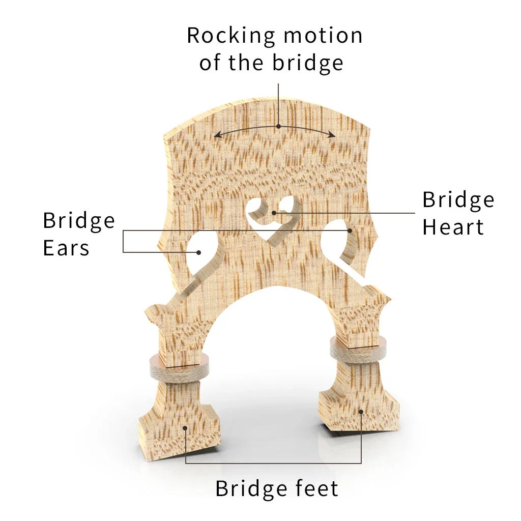 High Quality Natural Dried AA Grade Maple Wood w/ Nice Pattern Adjustable 4/4 3/4 1/2 Upright Bass Bridge For Double bass