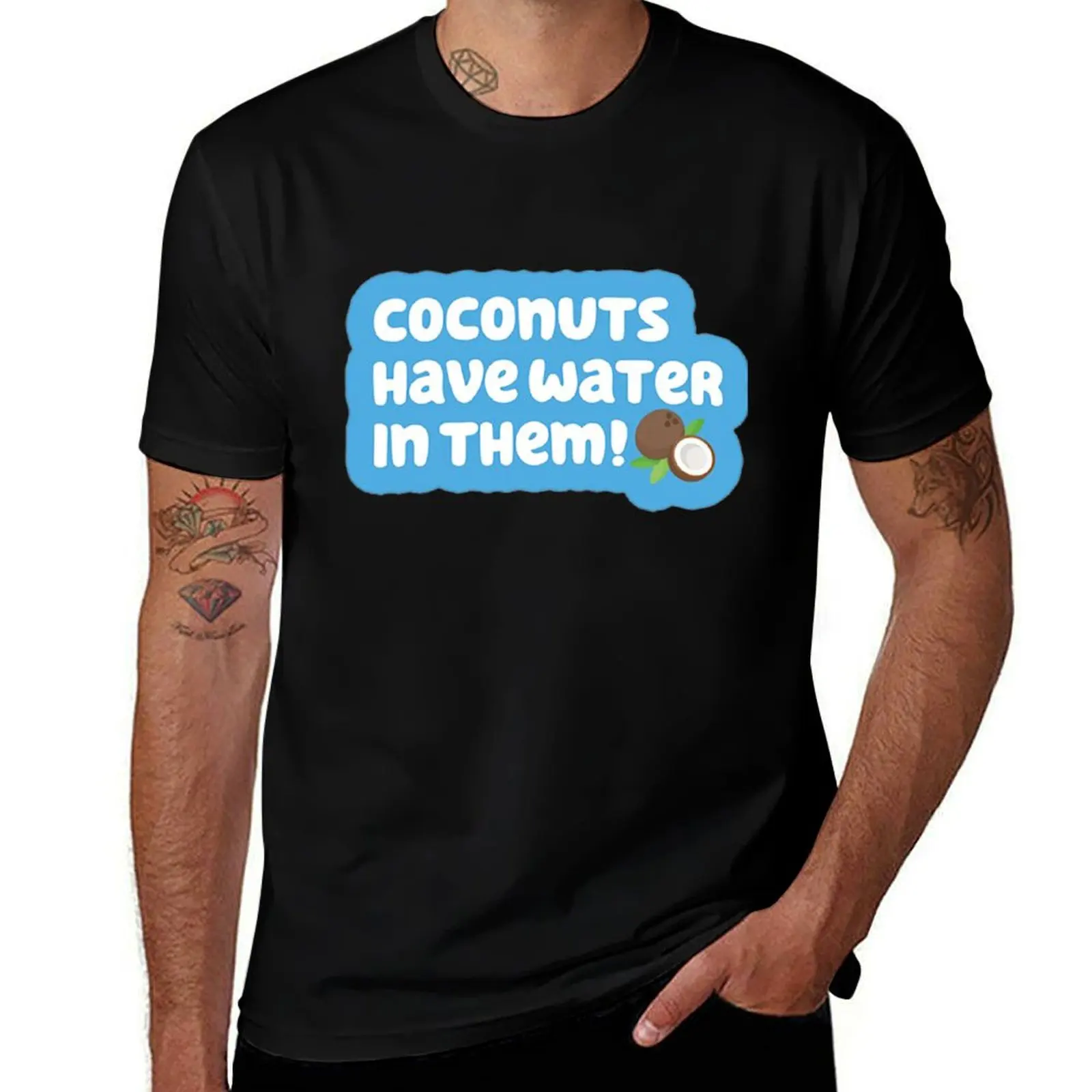 Coconuts Have Water in Them! T-Shirt cute clothes for a boy quick-drying customs sweat shirts, men