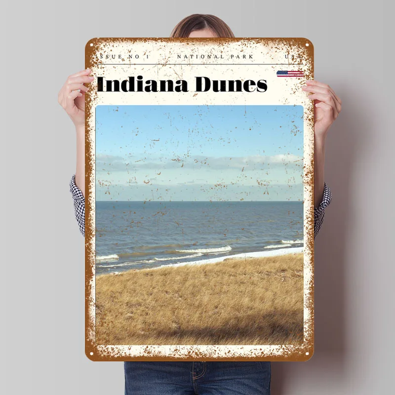 Póster artístico de viaje del Parque Nacional de Indiana Dunes, carteles de Metal, póster de transporte, decoraciones para el hogar, decoración para sala de estar y Bar