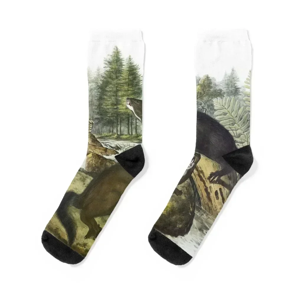 

Mink - James Audubon Socks set sport Climbing floor Men's Socks Women's