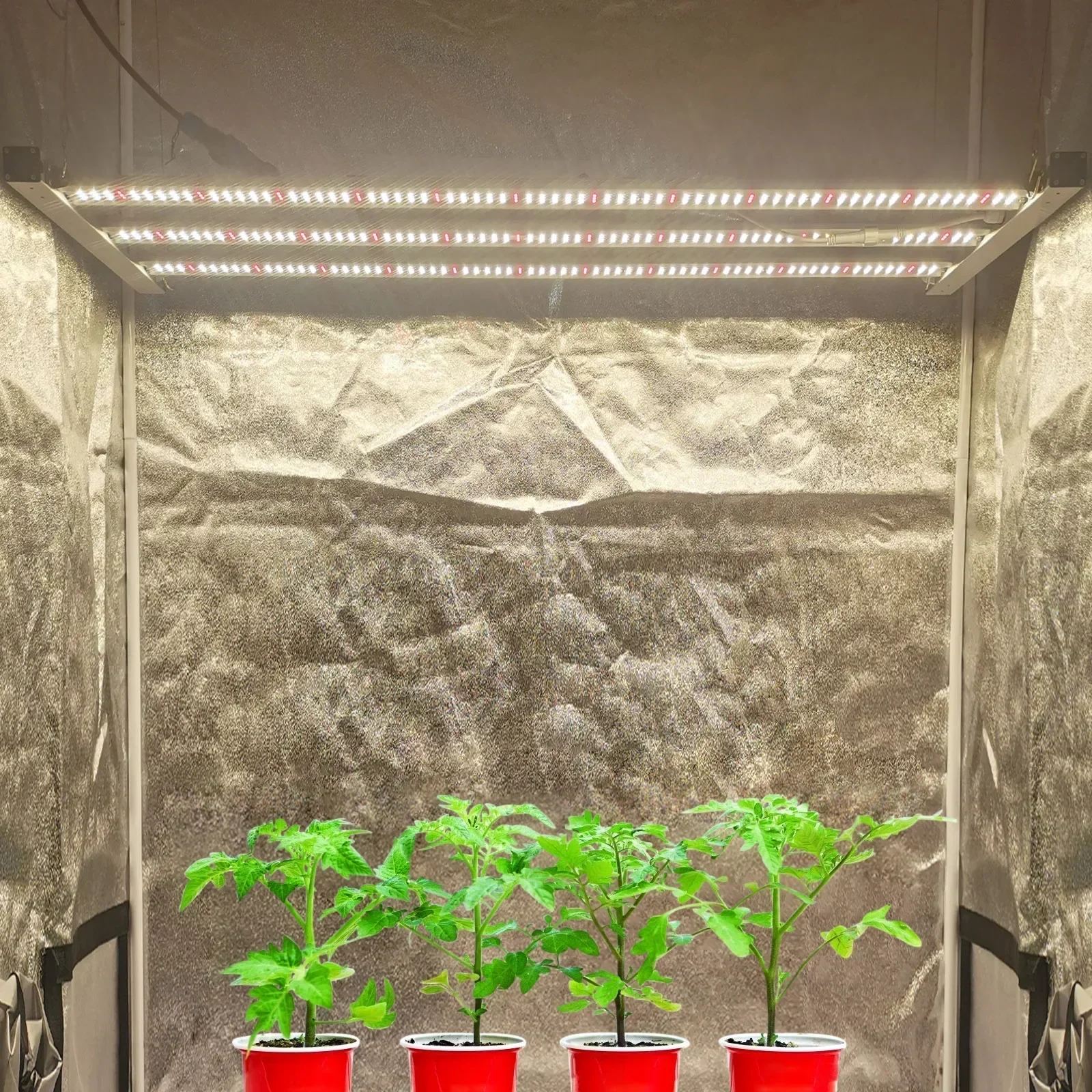 Cheap And Fine 300 Watt Lm301b Commercial Horticulture Indoor Plant Lamp 3 Bar High Yield Full Spectrum Plant Growth Lamp Greenh