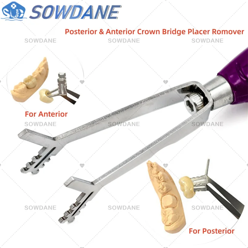 Silicon Handle Crown Grip Tool Dental Teeth Crown Gripper Anterior & Posterior Crown Bridge Holder Remover Tool Clinic Placer