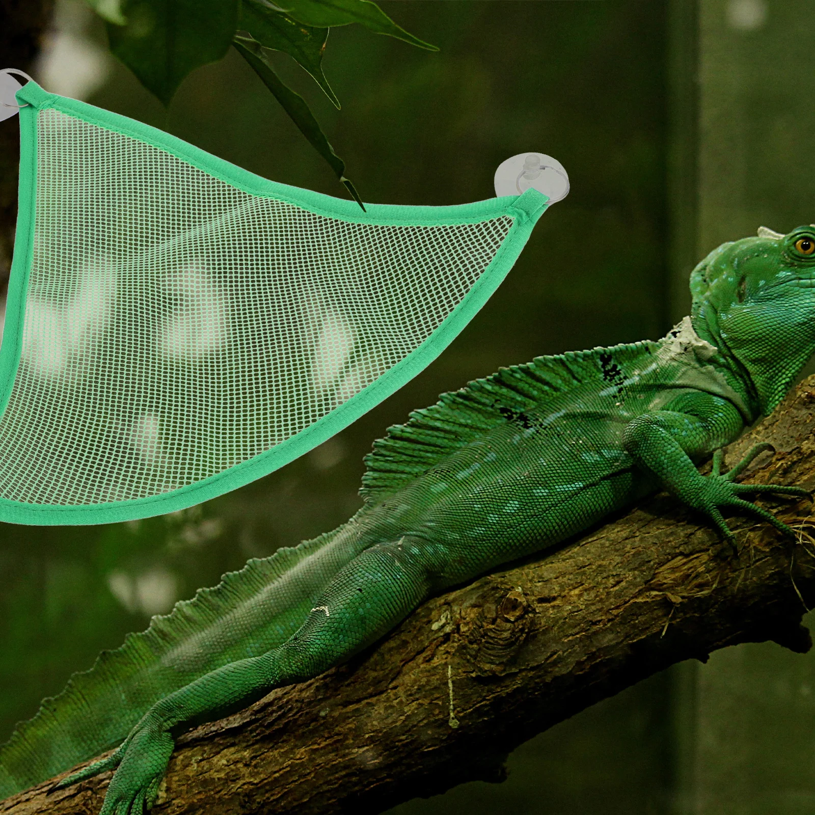

2pcs Reptile Hammock Hanging Pet Bed Resting Canvas Accessories Lizard Supplies Breathable Mesh Durable Easy Fix Remove