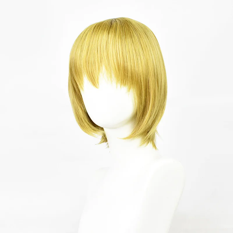Anime Cosplay Wig for Comic Con, 2D Anime Character Role Play Wig Easy To Shape