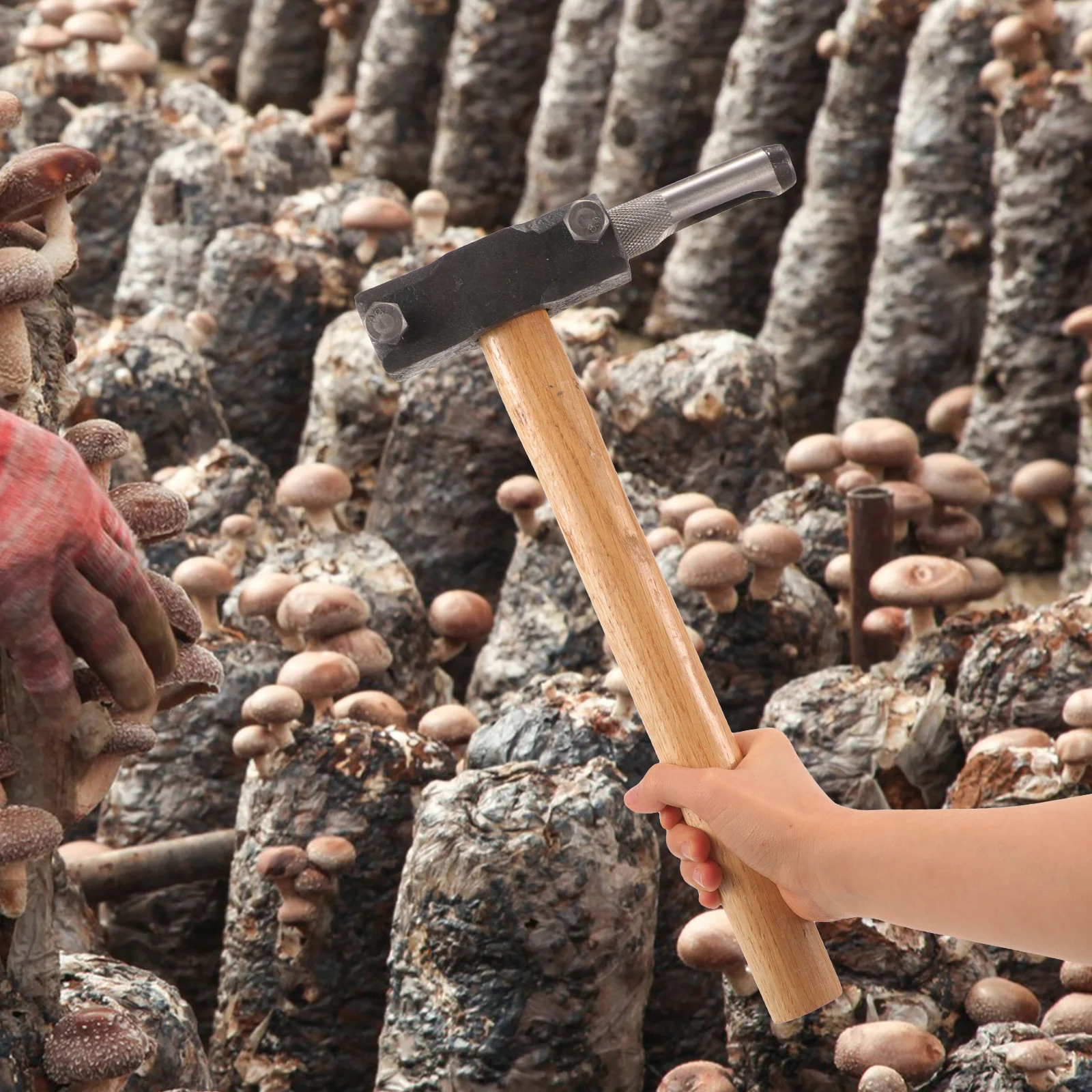 أداة ملاكمة مطرقة تفرخ الفطر لتقليل السجل، تصميم مزدوج الرأس، زراعة فعالة، مواد ذات جودة متينة