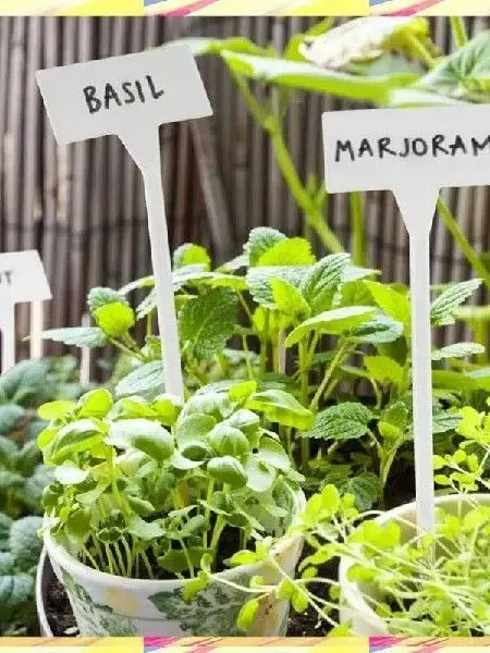 abjj-120-etiquettes-de-plantes-d'exterieur-etiquettes-de-plantes-en-plastique-impermeables-ecologiques-durables-marqueurs-de-jardin-pour-identifier-les-plantes