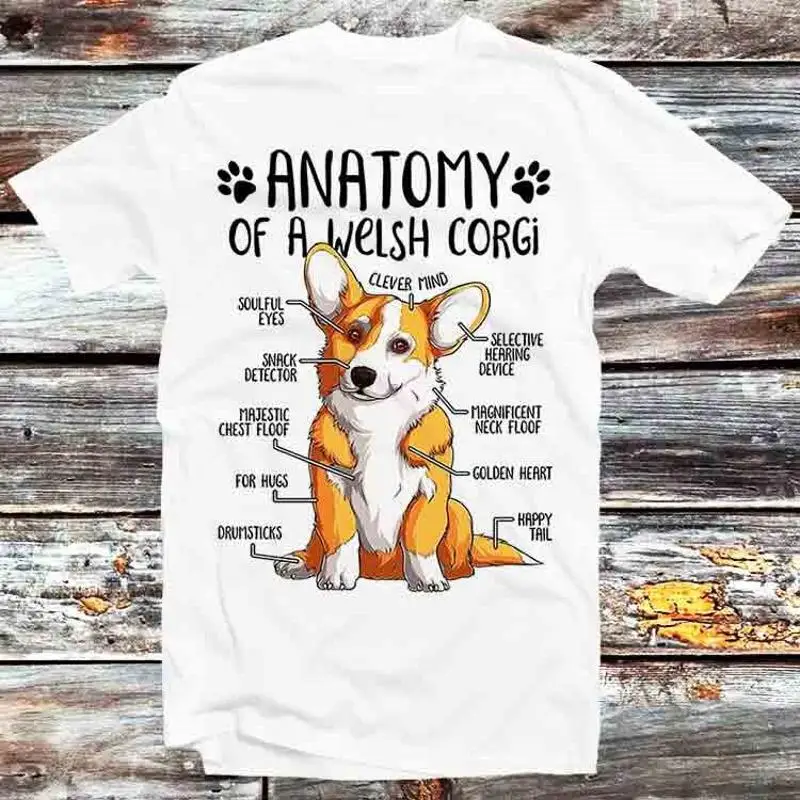 Anatomia de um corgi galês camiseta B730