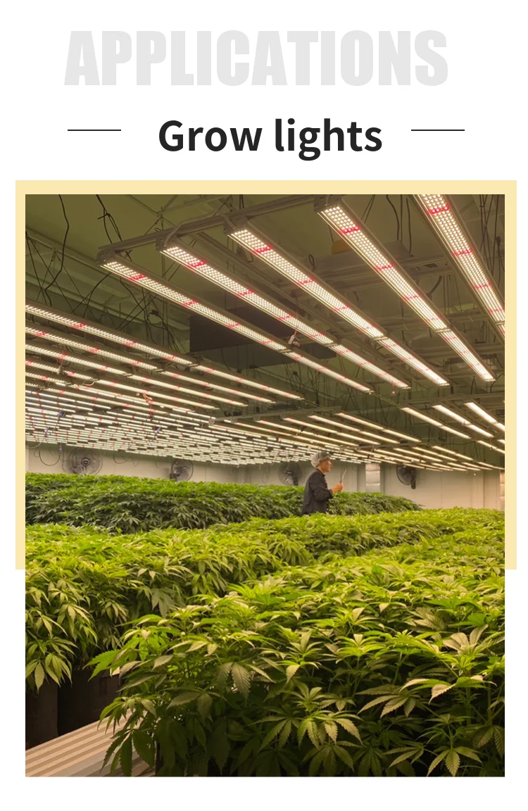 Factory Price 800W Plant Growth Lamp Two-fold Setting Support Dimming LED Growth Light For Large-scale Planting