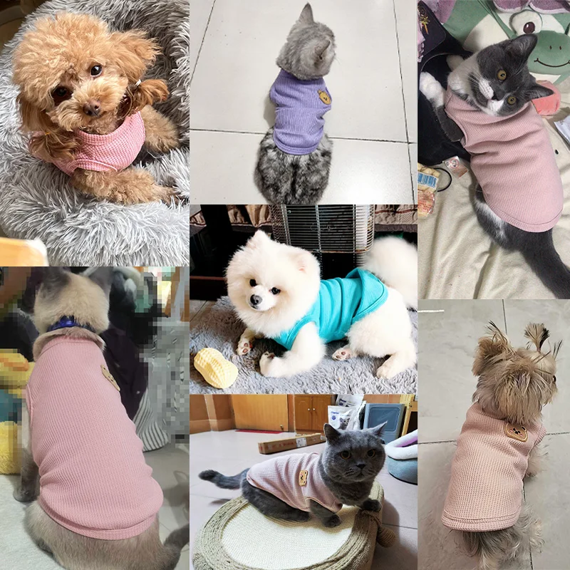 Pet Dog Shirts Cute Bear T-shirt Breathable Cat Solid Shirts Fashion Chihuahua Yorkshir Vest  Puppy Clothing Dog costume