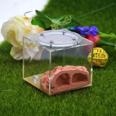 pocket Ecological ant nest DIY plaster rockery pet ant castle landscaping workshop home for ant