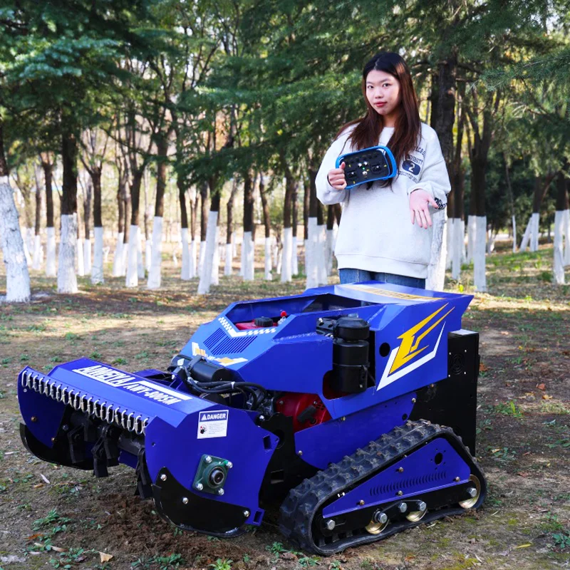 

Индивидуальный CE, одобренный EPA, вездеходный сельскохозяйственный дизельный двигатель, робот с дистанционным управлением, лужайка, промышленный DIY, беспроводной