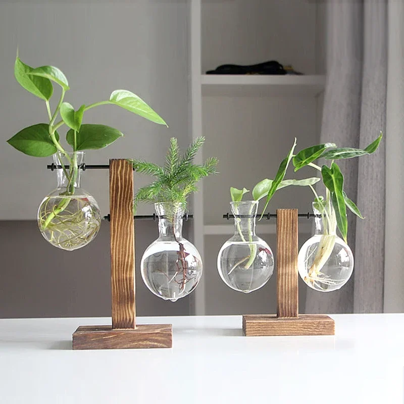 Terrarium Plant  Hydroponic Vintage Glass Flower Pot Transparent Plant Pot Wooden Plant Shelves Tabletop  Bonsai Decor