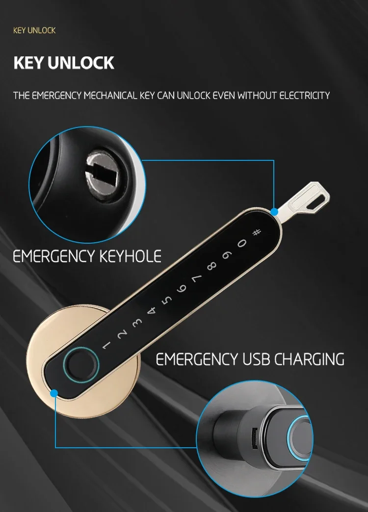 Brazil Smart Lever door lock Handle lock Single latch Ttlock Tuya BLE Biometic Fingerprint Password Key Digital door lock