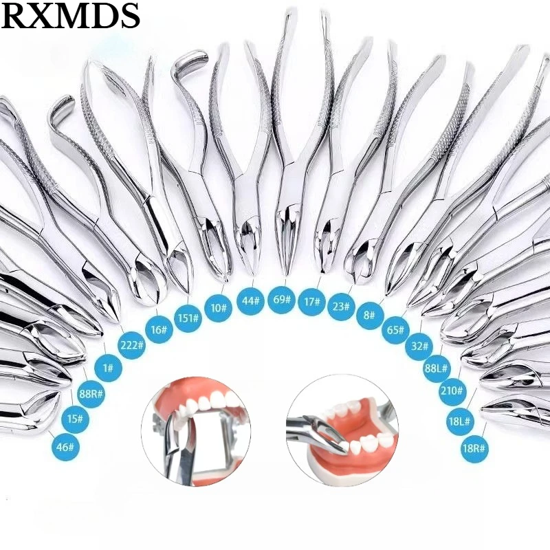 Forceps d'extraction dentaire pour adultes, mâchoire supérieure et inférieure, poignée antidérapante, 8L/8R/151/150, instrument dentaire universel