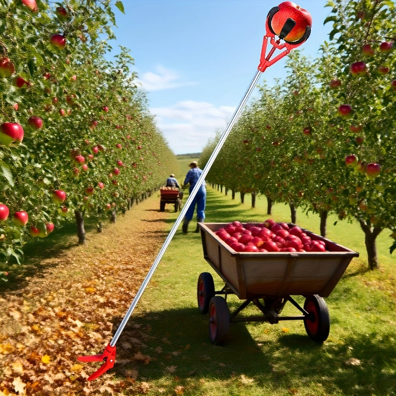 3 Claw Telescopic Fruit Harvesting Tool Adjustable Extension Pole Fruit Picker for Apple Mango Persimmon Bayberry Loquat Pear
