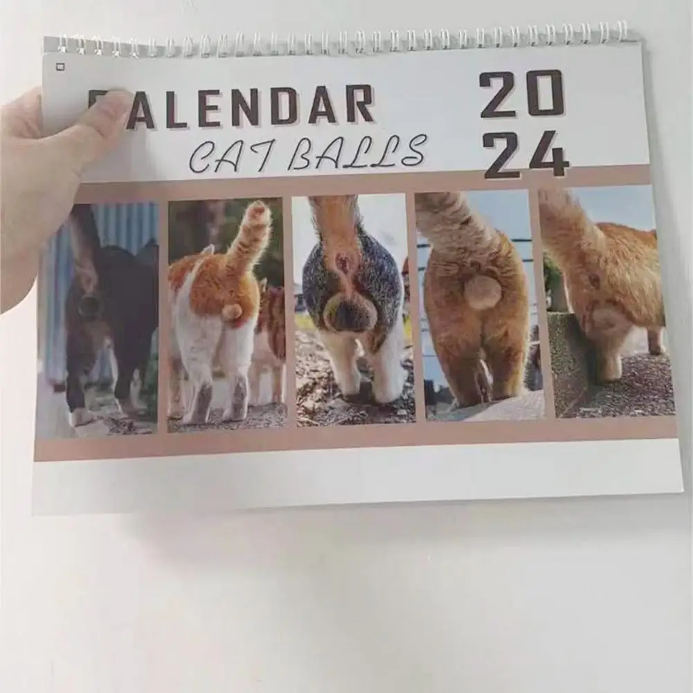 2024ลูกแมวตัวเล็กลูกกลมปฏิทินแมวรายเดือนแบบเฮฮาแขวนได้ของขวัญ11.4x8.26in สำหรับวัยรุ่นเพื่อนเพื่อนร่วมงาน